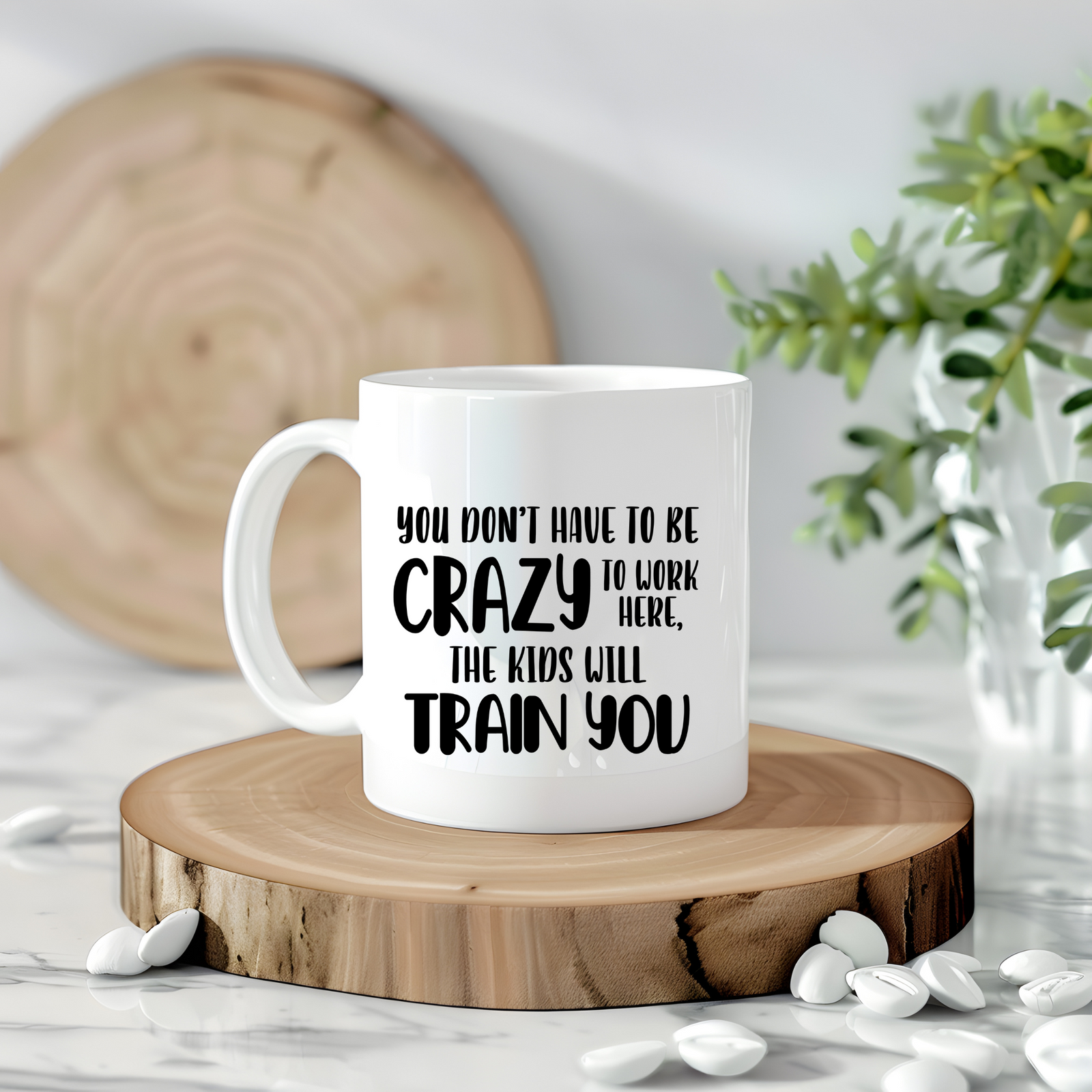Teacher Mug - Teachers aren't Crazy